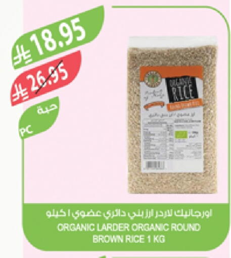 Brown Rice available at Farm  in KSA, Saudi Arabia, Saudi - Arar
