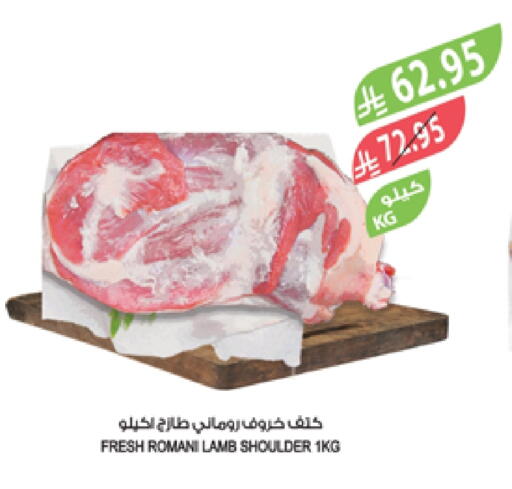 Mutton / Lamb available at Farm  in KSA, Saudi Arabia, Saudi - Khafji