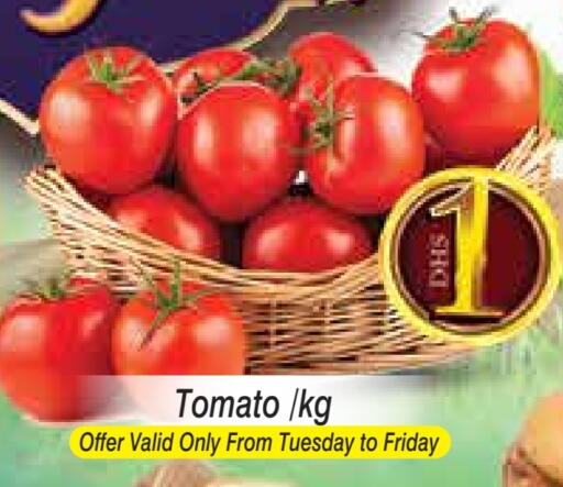 Tomato available at ZSH Golden Day Hypermarket L.L.C in UAE - Dubai