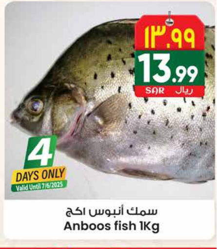 available at City Flower in KSA, Saudi Arabia, Saudi - Riyadh