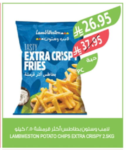 Potato available at Farm  in KSA, Saudi Arabia, Saudi - Sakaka