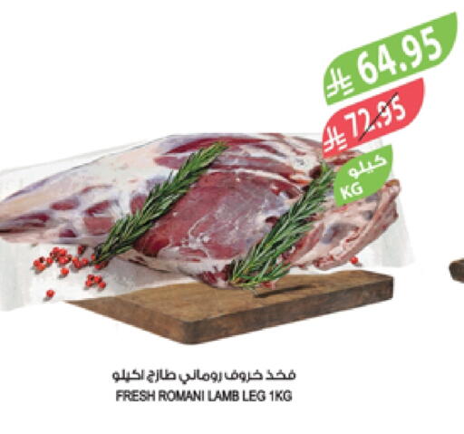 Mutton / Lamb available at Farm  in KSA, Saudi Arabia, Saudi - Khafji