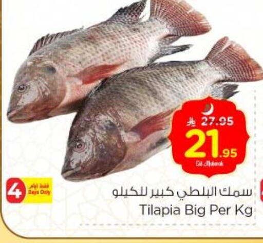 available at Nesto in KSA, Saudi Arabia, Saudi - Buraidah