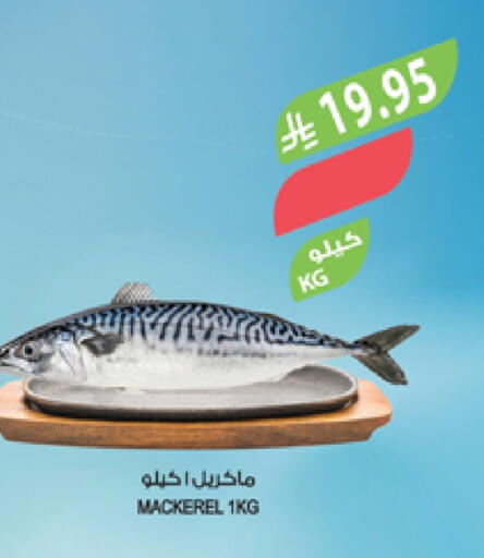 available at Farm  in KSA, Saudi Arabia, Saudi - Abha