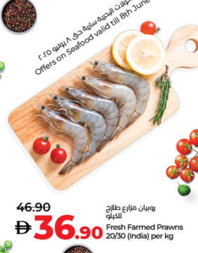 available at لولو هايبرماركت in الإمارات العربية المتحدة , الامارات - أم القيوين‎