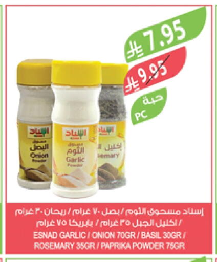 Onion Garlic Basil Rosemary Paprika available at Farm  in KSA, Saudi Arabia, Saudi - Abha