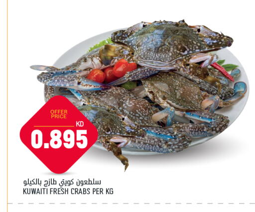 available at Oncost in Kuwait - Ahmadi Governorate