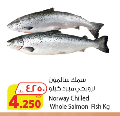 available at Agricultural Food Products Co. in Kuwait - Kuwait City