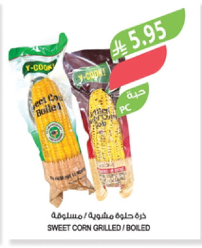 available at Farm  in KSA, Saudi Arabia, Saudi - Qatif