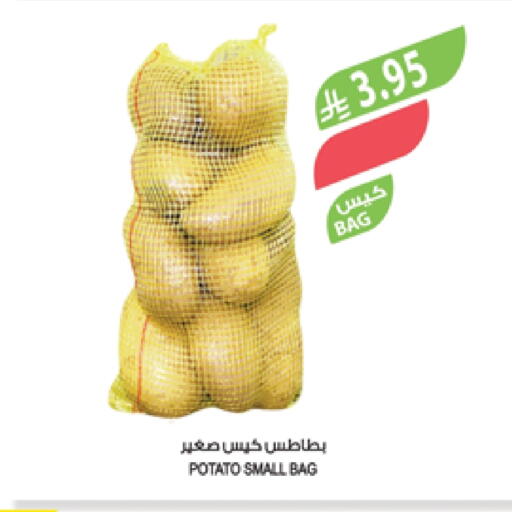 Fresh Vegetables in Farm , Saudi Arabia Offers - Saudi Arabia Potato available at Farm in KSA, Saudi Arabia, Saudi - Al Bahah