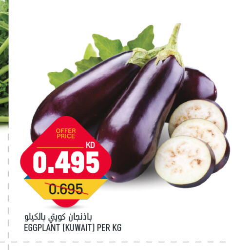 Eggplant from Kuwait available at Oncost in Kuwait - Ahmadi Governorate