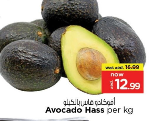 أفوكادو available at لاست تشانس in الإمارات العربية المتحدة , الامارات - ٱلْفُجَيْرَة‎