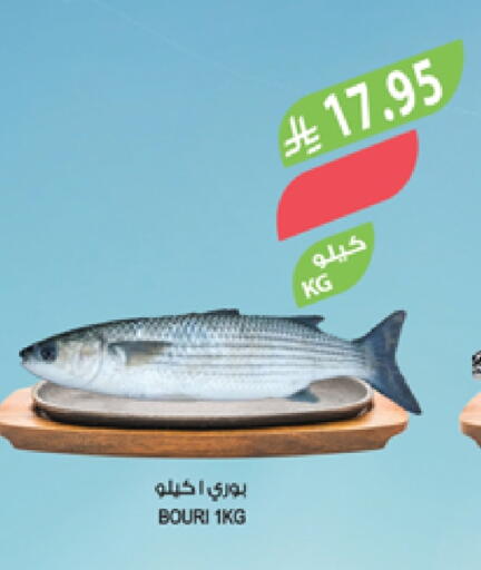 available at Farm  in KSA, Saudi Arabia, Saudi - Al Bahah