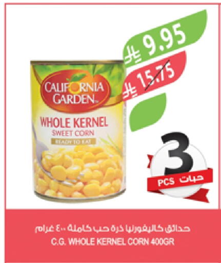CALIFORNIA available at Farm  in KSA, Saudi Arabia, Saudi - Qatif