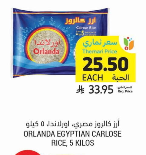 Orlanda Calrose Rice available at Tamimi Market in KSA, Saudi Arabia, Saudi - Ar Rass