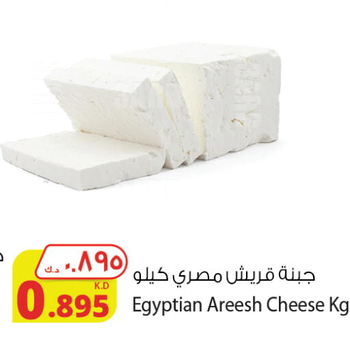 available at Agricultural Food Products Co. in Kuwait - Jahra Governorate