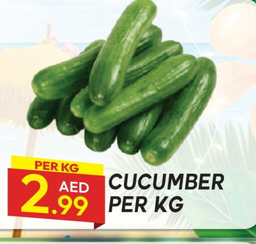 Cucumber available at Dream Land in UAE - Dubai