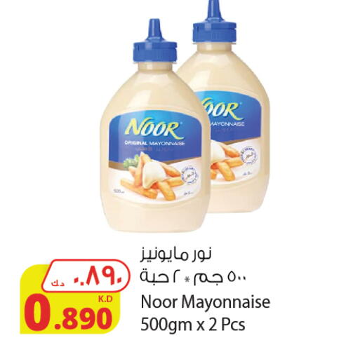 NOOR Mayonnaise available at Agricultural Food Products Co. in Kuwait - Jahra Governorate