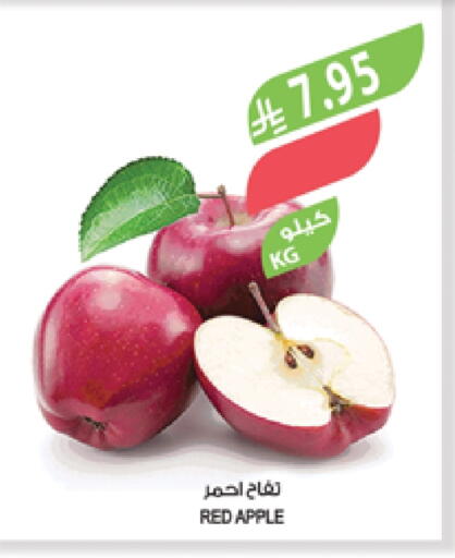 Fresh Fruits in Farm , Saudi Arabia Offers - Saudi Arabia Apples available at Farm in KSA, Saudi Arabia, Saudi - Saihat