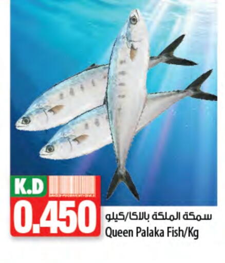 Mango available at Mango Hypermarket  in Kuwait - Kuwait City