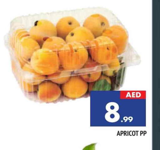 Apricot available at AL MADINA in UAE - Sharjah / Ajman