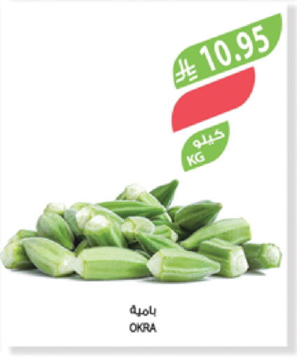 Fresh Vegetables in Farm , Saudi Arabia Offers - Saudi Arabia Lady's finger available at Farm in KSA, Saudi Arabia, Saudi - Jubail