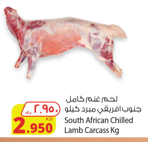 Mutton / Lamb available at Agricultural Food Products Co. in Kuwait - Jahra Governorate