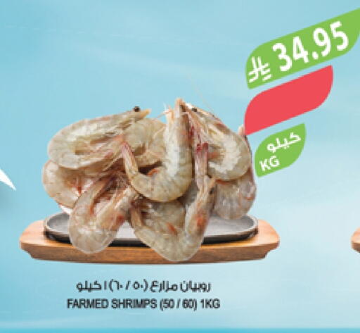 available at Farm  in KSA, Saudi Arabia, Saudi - Abha