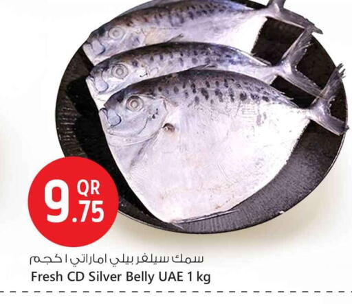 available at Safari Hypermarket in Qatar - Al-Shahaniya