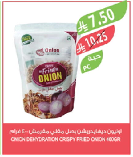 Onion available at Farm  in KSA, Saudi Arabia, Saudi - Abha