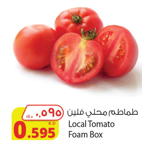Tomato available at Agricultural Food Products Co. in Kuwait - Kuwait City