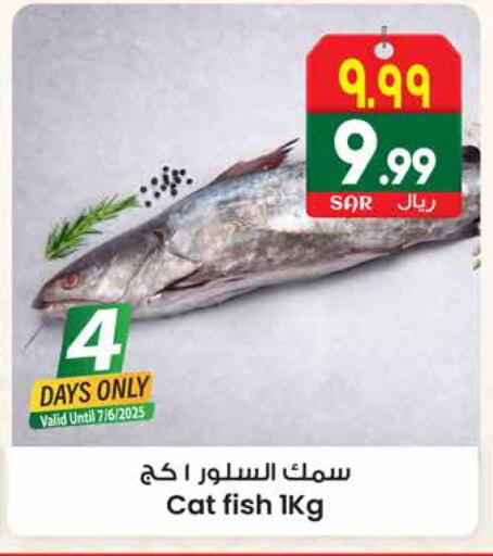 available at City Flower in KSA, Saudi Arabia, Saudi - Riyadh