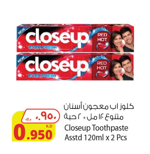 CLOSE UP Toothpaste available at Agricultural Food Products Co. in Kuwait - Jahra Governorate