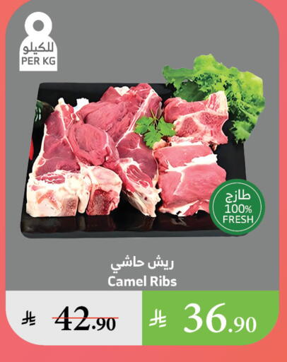 لحم حاشي available at الراية in مملكة العربية السعودية, السعودية, سعودية - تبوك