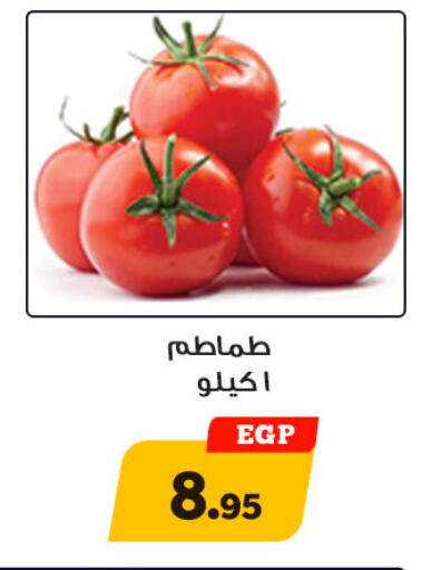 available at Awlad Ragab in Egypt - Cairo