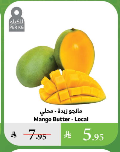 Mangoes available at Al Raya in KSA, Saudi Arabia, Saudi - Tabuk
