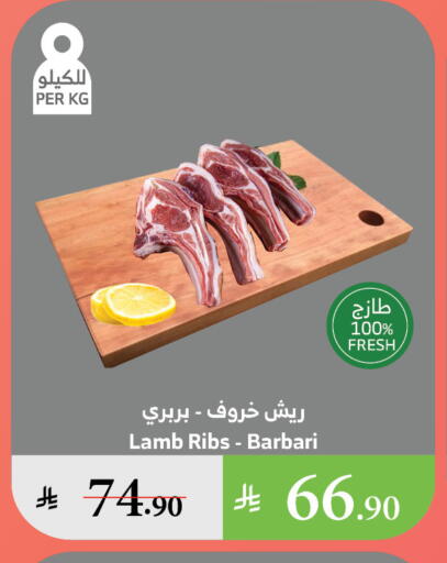 اللحوم الطازجة والمبردة in الراية, المملكة العربية السعودية Offers - المملكة العربية السعودية لحم الضأن / الغنم available at الراية in مملكة العربية السعودية, السعودية, سعودية - تبوك
