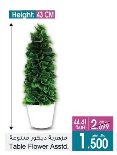 available at أيه & أتش in عُمان - مسقط‎