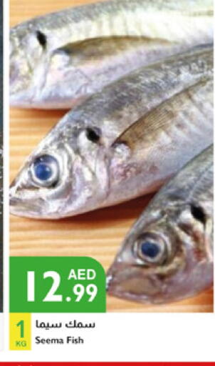 available at Istanbul Supermarket in UAE - Sharjah / Ajman