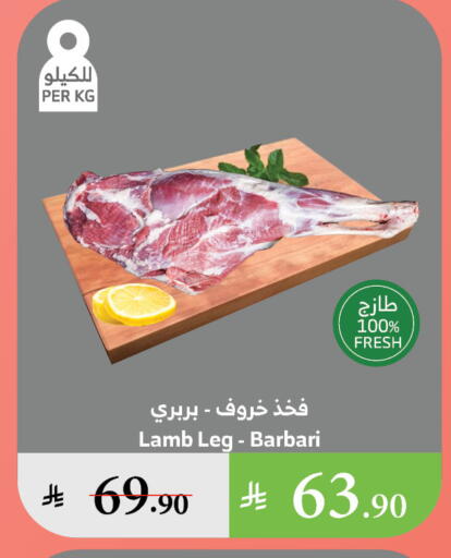 اللحوم الطازجة والمبردة in الراية, المملكة العربية السعودية Offers - المملكة العربية السعودية لحم الضأن / الغنم available at الراية in مملكة العربية السعودية, السعودية, سعودية - تبوك