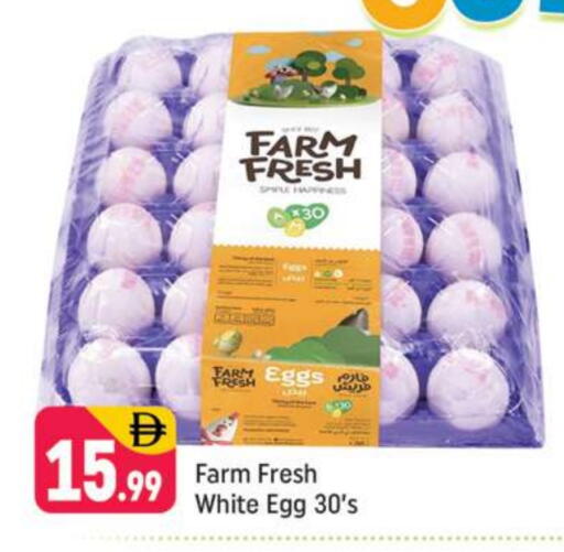 available at Shaklan  in UAE - Dubai