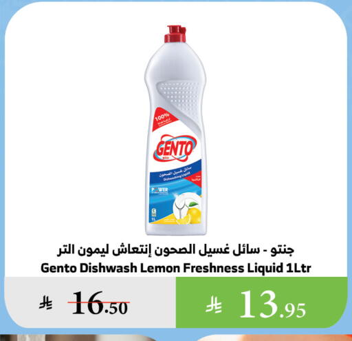 GENTO available at Al Raya in KSA, Saudi Arabia, Saudi - Al Bahah