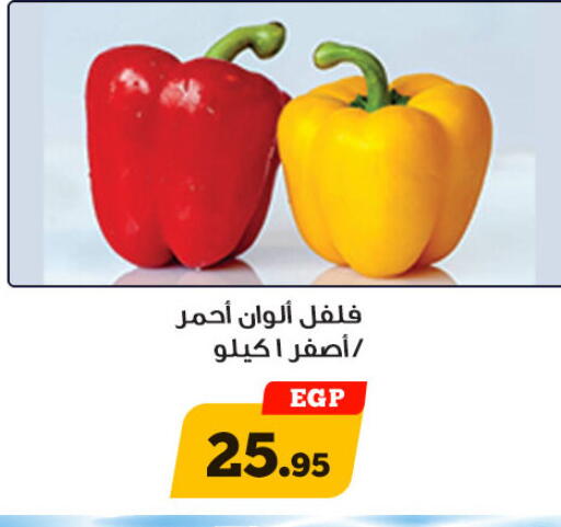 available at Awlad Ragab in Egypt - Cairo