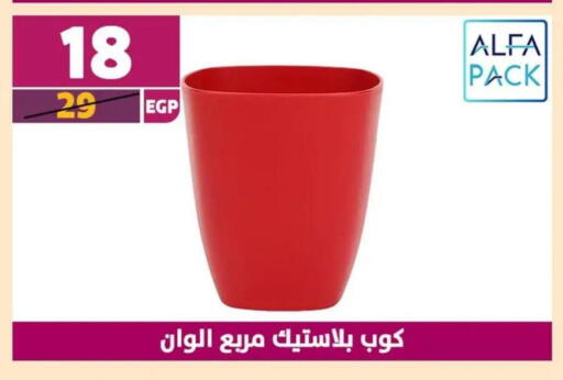 available at Shaheen Center in Egypt - Cairo