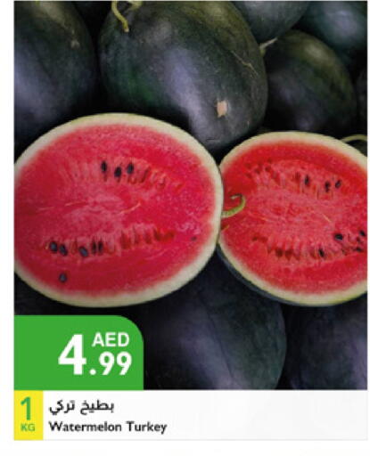بطيخ from Turkey available at إسطنبول سوبرماركت in الإمارات العربية المتحدة , الامارات - الشارقة / عجمان
