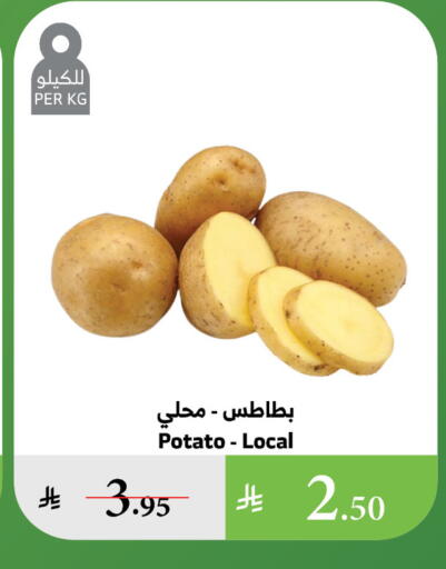 بطاطا available at الراية in مملكة العربية السعودية, السعودية, سعودية - جدة