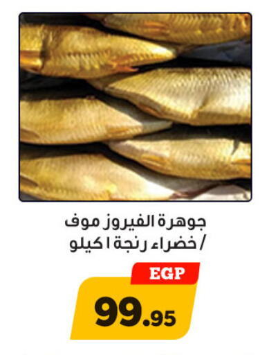 available at أولاد رجب in Egypt - القاهرة
