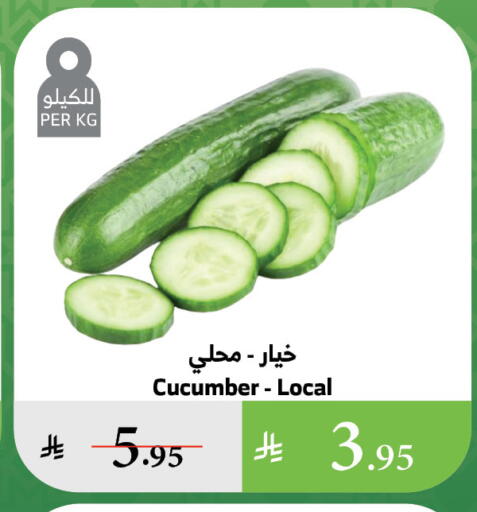Fresh Vegetables in Al Raya, Saudi Arabia Offers - Saudi Arabia Cucumber available at Al Raya in KSA, Saudi Arabia, Saudi - Al Qunfudhah