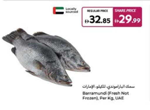 available at كارفور in الإمارات العربية المتحدة , الامارات - أم القيوين‎