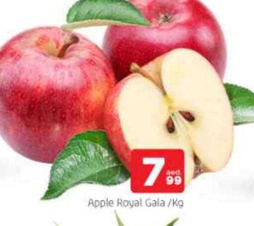 Apples available at AL MADINA in UAE - Sharjah / Ajman